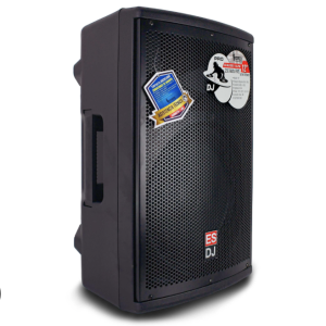 Caja Amplificada Pro 15" portatil