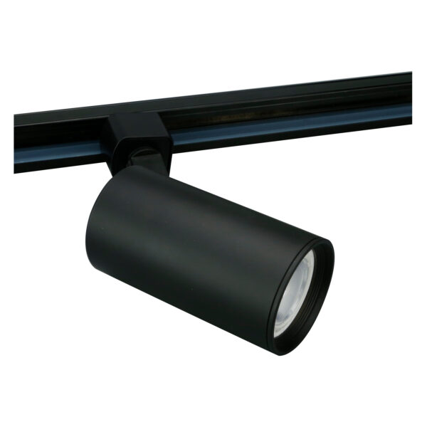 Spot Tracklight par30